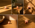 Dumpling Desk Friend