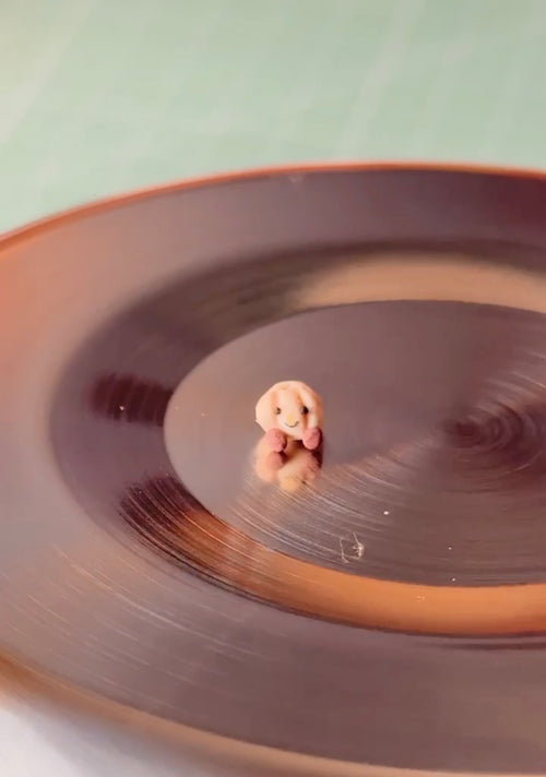 Dumpling Desk Friend